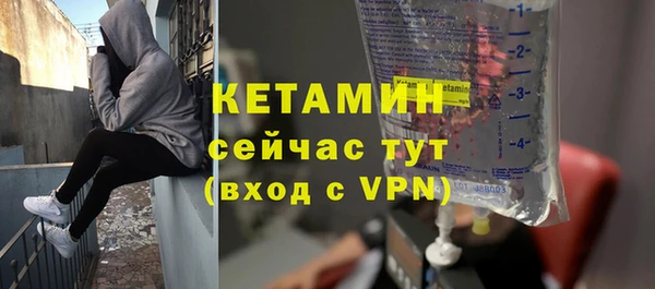 сатива Вяземский