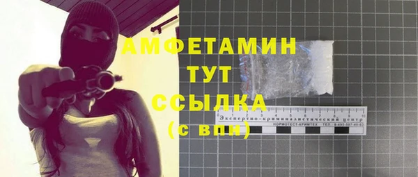 сатива Вяземский
