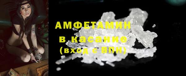 сатива Вяземский