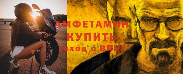 сатива Вяземский