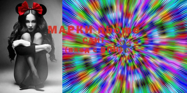 сатива Вяземский