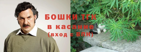 сатива Вяземский
