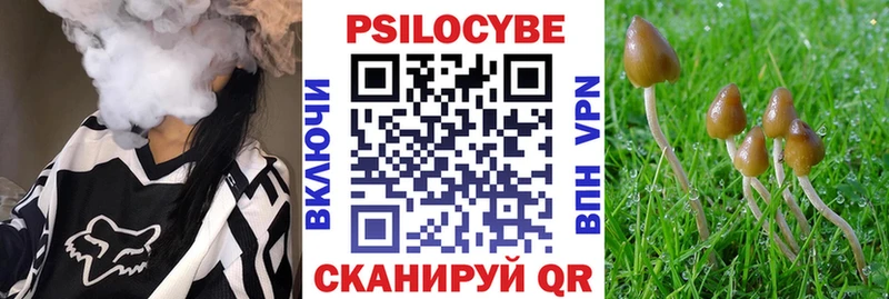 как найти закладки  Гагарин  Псилоцибиновые грибы прущие грибы 