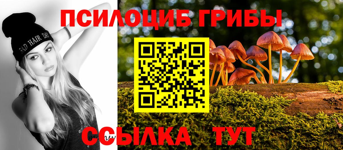 Гагарин  Галлюциногенные грибы прущие грибы  Вход с VPN  как найти закладки  Галлюциногенные грибы MAGIC MUSHROOMS 