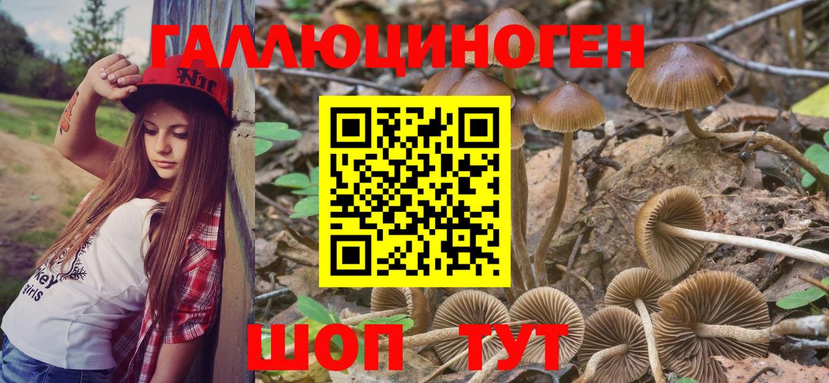 Псилоцибиновые грибы GOLDEN TEACHER Гагарин